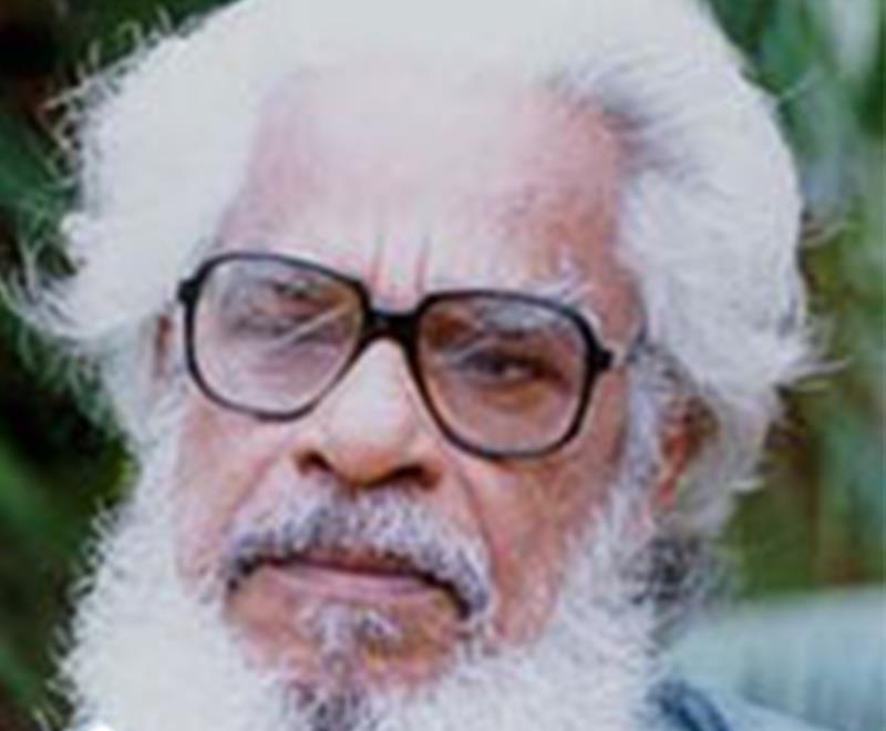 P. N. Menon